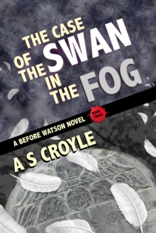 The Case of the Swan in the Fog