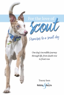 For the love of Scout : Promises to a small dog