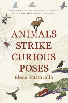 Animals Strike Curious Poses, Hardback Book Animals Strike Curious Poses, Hardback Book