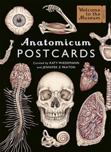 Anatomicum Postcard Box