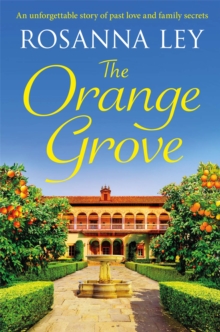 The Orange Grove : a delicious, escapist romance set in sunny Seville