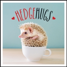 Hedgehugs : A Spike-Tacular Celebration of the World's Cutest Hedgehogs