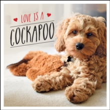 Love Is A Cockapoo : A Dog-Tastic Celebration Of The World's Cutest Breed