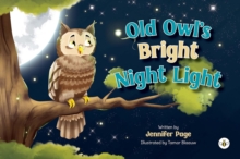 Old Owl's Bright Night Light