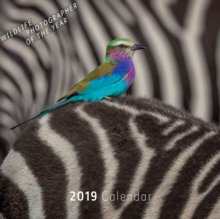 WILDLIFE PHOTOGRAPHER OF THE YEAR 2019 S, Book WILDLIFE PHOTOGRAPHER OF THE YEAR 2019 S, Book