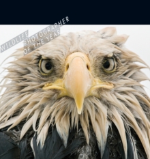 WILDLIFE PHOTOGRAPHER OF THE YEAR 2019 D, Book WILDLIFE PHOTOGRAPHER OF THE YEAR 2019 D, Book