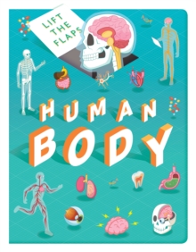 Lift The Flaps: Human Body, Board book Book Lift The Flaps: Human Body, Board book Book