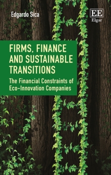 Firms, Finance and Sustainable Transitions : The Financial Constraints of Eco-Innovation Companies