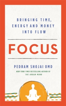 Focus : Bringing Time, Energy and Money into Flow