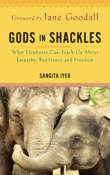 Gods in Shackles : What Elephants Can Teach Us About Empathy, Resilience and Freedom