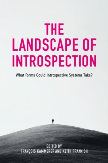 The Landscape of Introspection : What Forms Could Introspective Systems Take?