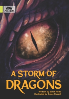 A Storm Of Dragons Sarah Rudd