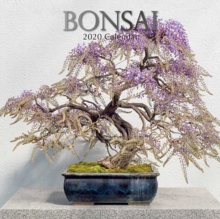 Bonsai : 2020 Square Wall Calendar, Paperback / softback Book Bonsai : 2020 Square Wall Calendar, Paperback / softback Book