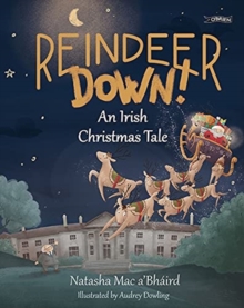 Reindeer Down! : An Irish Christmas Tale