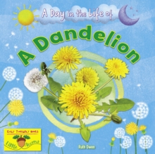 A Dandelion