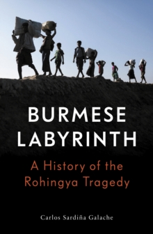 The Burmese Labyrinth, Paperback / softback Book The Burmese Labyrinth, Paperback / softback Book