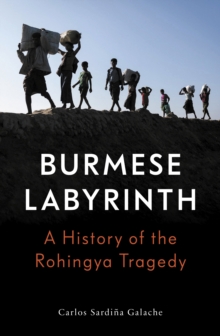 The Burmese Labyrinth : A History of the Rohingya Tragedy