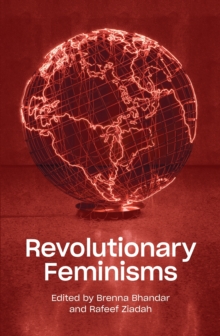 Revolutionary Feminisms : Conversations on Collective Action and Radical Thought