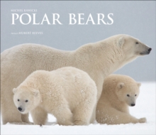 Polar Bears : A Life Under Threat, Hardback Book Polar Bears : A Life Under Threat, Hardback Book