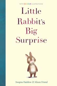 Little Rabbit's Big Surprise, Hardback Book Little Rabbit's Big Surprise, Hardback Book