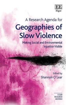 Research Agenda for Geographies of Slow Violence : Making Social and Environmental Injustice Visible