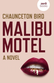 Malibu Motel : A novel about the colossal cost of free cash