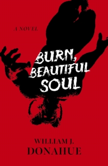 Burn, Beautiful Soul : A Novel