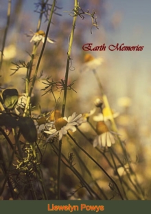 Earth Memories