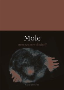 Mole