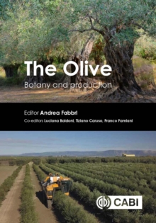 The Olive : Botany and Production