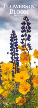 Flowers in Bloom 2020 Slim Calendar, Calendar Book Flowers in Bloom 2020 Slim Calendar, Calendar Book