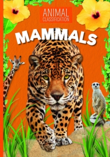 Mammals, Paperback / softback Book Mammals, Paperback / softback Book
