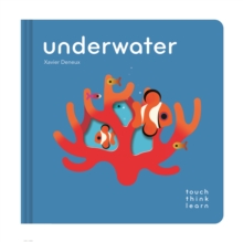 Chronicle Books TouchThinkLearn, Underwater
