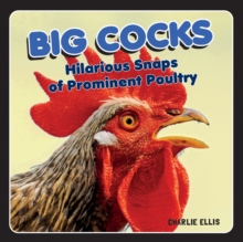 Big Cocks : Hilarious Snaps of Prominent Poultry