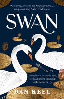 Swan : Portrait of a Majestic Bird, from Mythical Meanings to the Modern Day