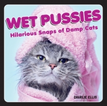 Wet Pussies : Hilarious Snaps of Damp Cats