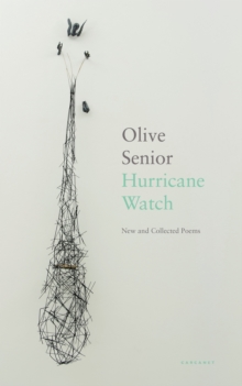 Hurricane Watch : New and Collected Poems