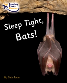 Sleep Tight, Bats! : Phase 4