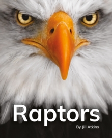 Raptors : Phonics Phase 5