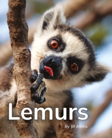 Lemurs : Phonics Phase 5