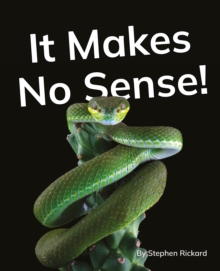 It Makes No Sense! : Phonics Phase 5