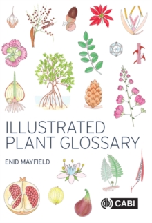 Illustrated Plant Glossary