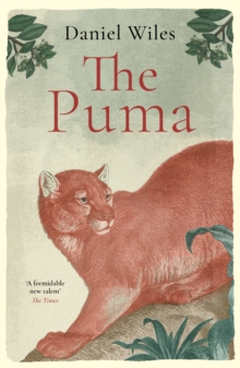 The Puma : 'A formidable new talent' The Times