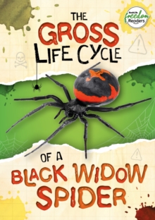 The Gross Life Cycle Of A Black Widow Spider