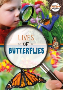 Lives of Butterflies