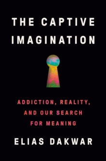 The Captive Imagination : Addiction, Reality and our Search for Meaning