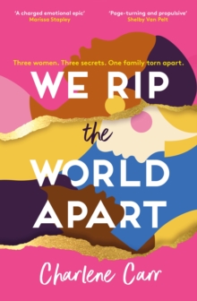 We Rip the World Apart : A sweeping story about motherhood, race and secrets