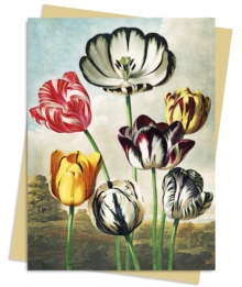 Temple of Flora: Tulips Greeting Card Pack : Pack of 6