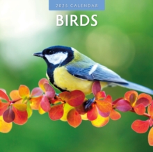 Birds 2025 Square Wall Calendar