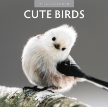 Cute Birds 2025 Square Wall Calendar